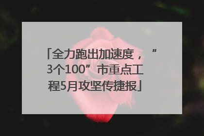 全力跑出加速度，“3个100”市重点工程5月攻坚传捷报
