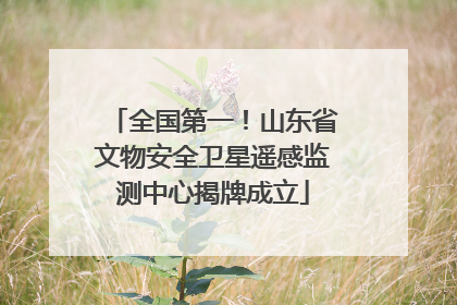 全国第一！山东省文物安全卫星遥感监测中心揭牌成立