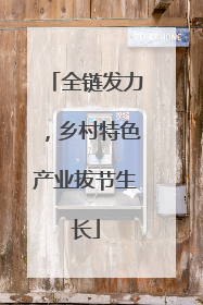 全链发力，乡村特色产业拔节生长