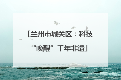 兰州市城关区：科技“唤醒”千年非遗