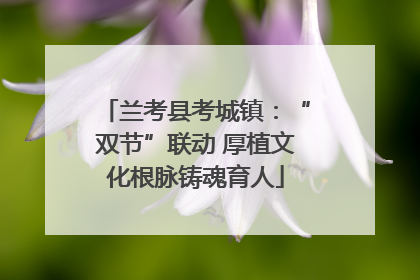 兰考县考城镇：“双节”联动 厚植文化根脉铸魂育人