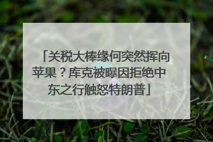 关税大棒缘何突然挥向苹果？库克被曝因拒绝中东之行触怒特朗普