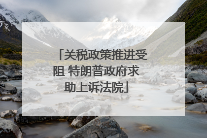 关税政策推进受阻 特朗普政府求助上诉法院