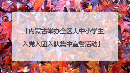 内蒙古举办全区大中小学生入党入团入队集中宣誓活动