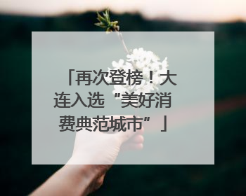 再次登榜！大连入选“美好消费典范城市”