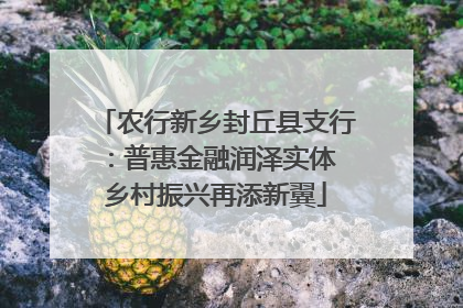 农行新乡封丘县支行：普惠金融润泽实体 乡村振兴再添新翼