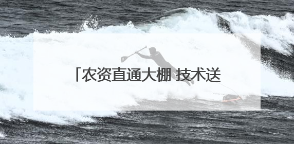 农资直通大棚 技术送到地头——岱岳区供销社以“服务下沉”打通服务“三农”最后一公里