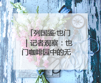 列国鉴·也门｜记者观察：也门咖啡园中的无奈与坚守