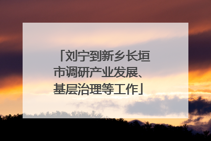 刘宁到新乡长垣市调研产业发展、基层治理等工作