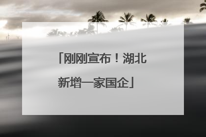 刚刚宣布！湖北新增一家国企