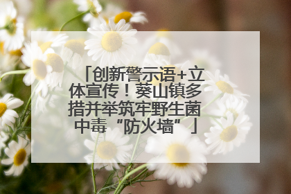 创新警示语+立体宣传！葵山镇多措并举筑牢野生菌中毒“防火墙”