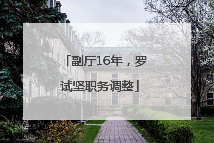 副厅16年，罗试坚职务调整