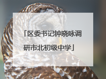 区委书记钟晓咏调研市北初级中学