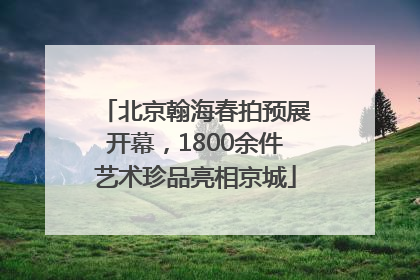 北京翰海春拍预展开幕，1800余件艺术珍品亮相京城