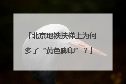 北京地铁扶梯上为何多了“黄色脚印”？