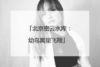 北京密云水库：幼鸟离巢飞翔