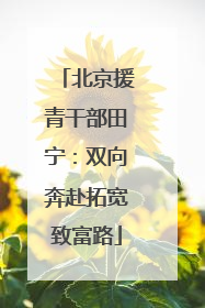 北京援青干部田宁：双向奔赴拓宽致富路