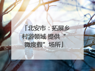 北安市：拓展乡村游领域 提供“微度假”场所