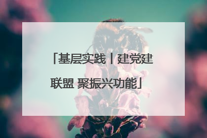 基层实践丨建党建联盟 聚振兴功能