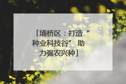 埇桥区：打造“种业科技谷” 助力强农兴种
