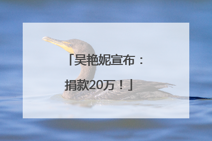 吴艳妮宣布：捐款20万！