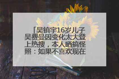 吴镇宇16岁儿子吴费曼因变化太大登上热搜，本人晒搞怪照：如果不喜欢现在的我可以离开
