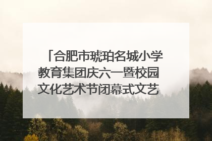 合肥市琥珀名城小学教育集团庆六一暨校园文化艺术节闭幕式文艺汇演圆满举行