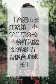 合肥市长江路第三小学兰亭分校：榜样闪耀绽光彩 五育融合助成长