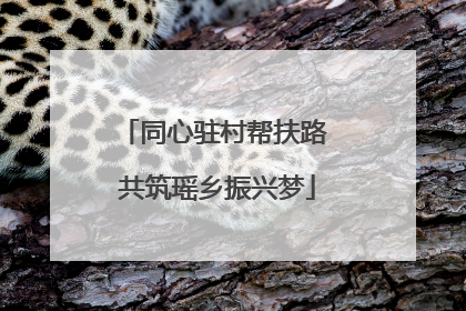 同心驻村帮扶路 共筑瑶乡振兴梦