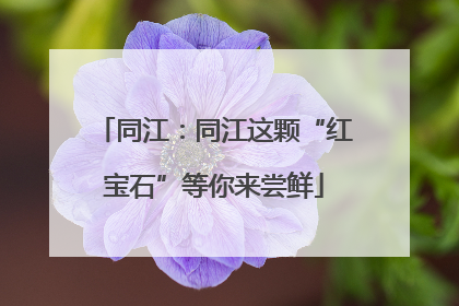 同江：同江这颗“红宝石”等你来尝鲜
