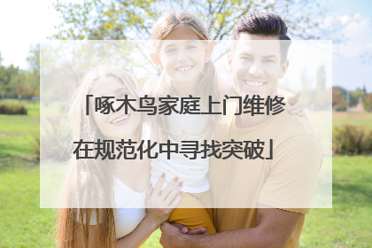 啄木鸟家庭上门维修在规范化中寻找突破