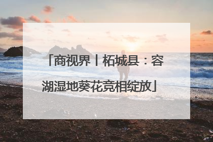 商视界丨柘城县：容湖湿地葵花竞相绽放