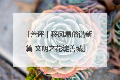 善评｜移风易俗谱新篇 文明之花绽善城