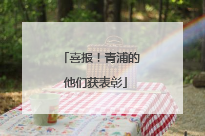 喜报！青浦的他们获表彰