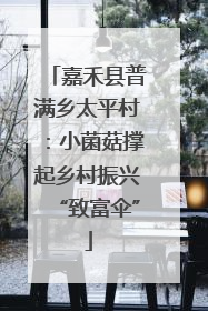 嘉禾县普满乡太平村：小菌菇撑起乡村振兴“致富伞”