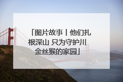 图片故事丨他们扎根深山 只为守护川金丝猴的家园