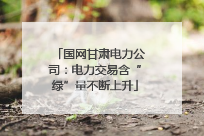 国网甘肃电力公司：电力交易含“绿”量不断上升