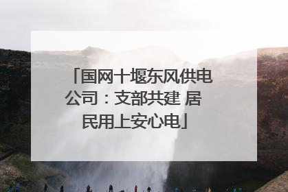 国网十堰东风供电公司：支部共建 居民用上安心电