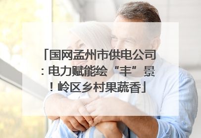 国网孟州市供电公司：电力赋能绘“丰”景！岭区乡村果蔬香