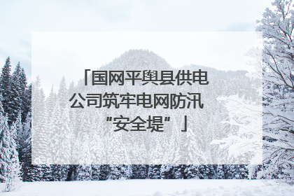 国网平舆县供电公司筑牢电网防汛“安全堤”