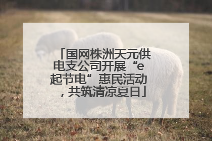 国网株洲天元供电支公司开展“e起节电”惠民活动，共筑清凉夏日