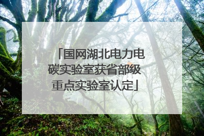 国网湖北电力电碳实验室获省部级重点实验室认定