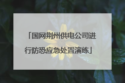 国网荆州供电公司进行防恐应急处置演练