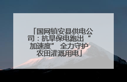 国网镇安县供电公司：抗旱保电跑出“加速度” 全力守护农田灌溉用电