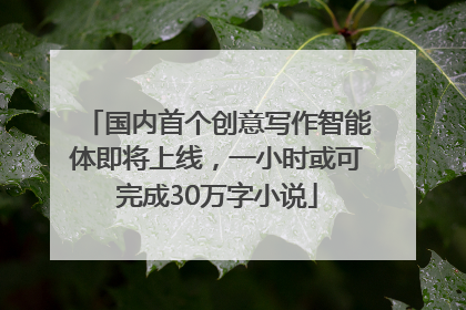 国内首个创意写作智能体即将上线，一小时或可完成30万字小说
