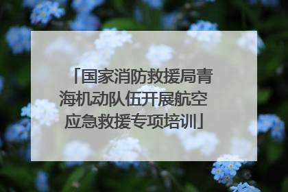 国家消防救援局青海机动队伍开展航空应急救援专项培训