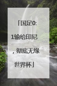 国足0:1输给印尼，彻底无缘世界杯