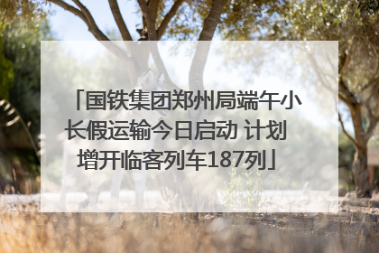 国铁集团郑州局端午小长假运输今日启动 计划增开临客列车187列