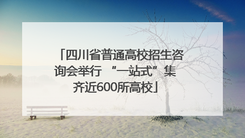 四川省普通高校招生咨询会举行 “一站式”集齐近600所高校
