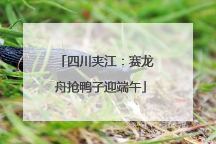 四川夹江：赛龙舟抢鸭子迎端午